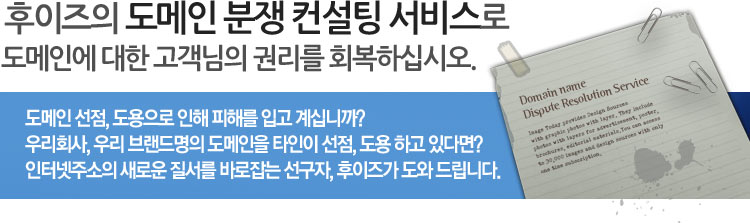 도메인 분쟁
