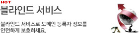 블라인드 서비스