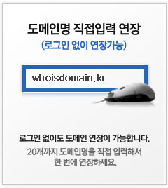 도메인명 직접입력 연장